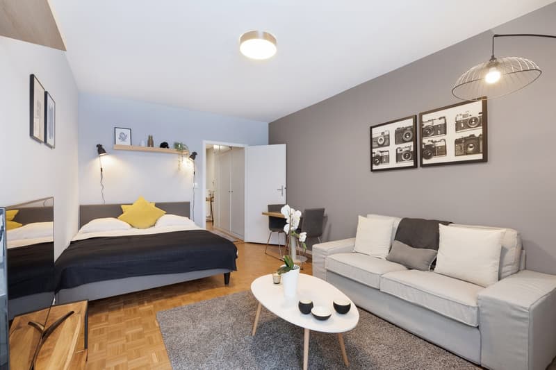 ✨ Studio Meublé et Confortable à Louer – Rue de Richemont, Proche Quartier des Pâquis ✨ (6)
