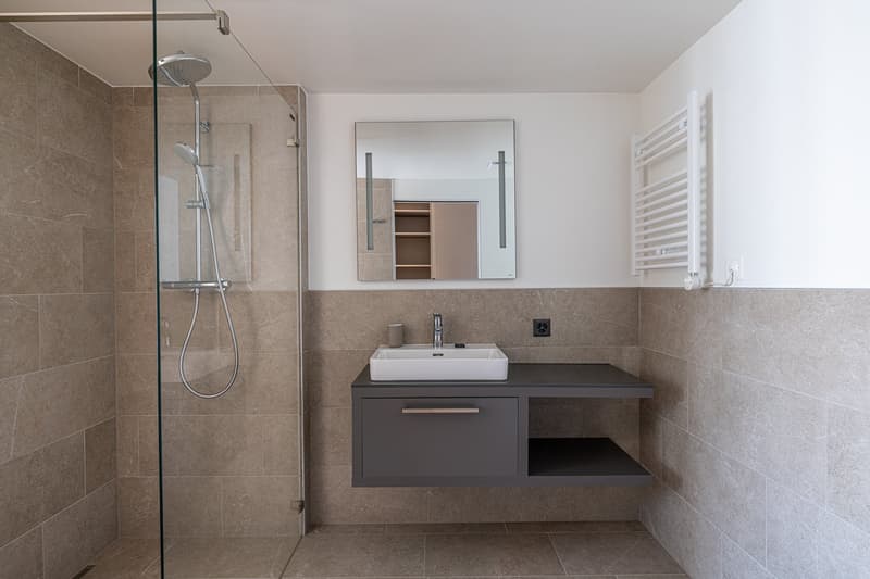 Modern bathroom with shower, mirror, sink, and towel radiator