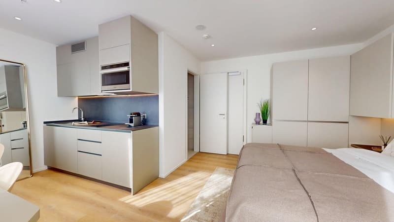 Kitchenette, sink, cabinets, countertop, bed, microwave, toaster, rug, wooden floor