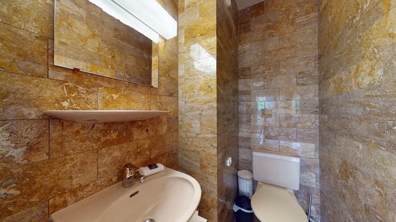 Bathroom with marbled walls, silver sink with mirror, toilet, trash bin