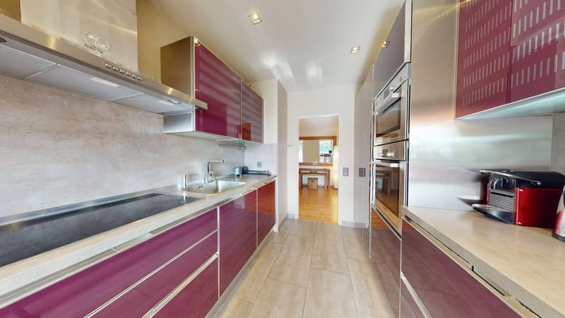 modern kitchen, stainless steel appliances, wooden cabinets, countertop, sink, dishwasher, gas stove, extractor hood, wooden floor