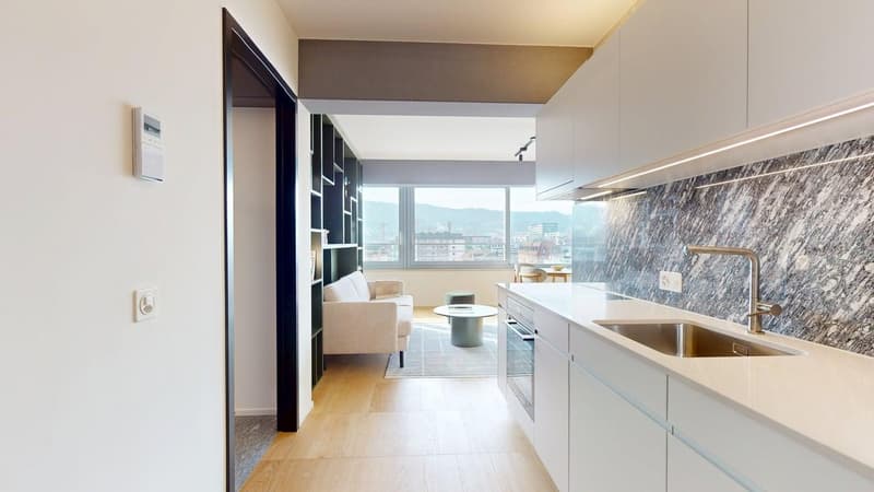 Premium 1-Bedroom Apartment in New Alto Tower – Freihofstrasse 23, Zürich (3)
