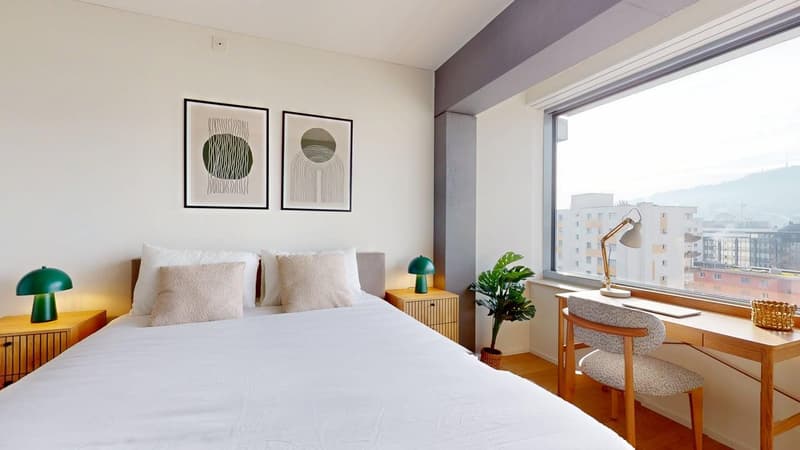 Premium 1-Bedroom Apartment in New Alto Tower – Freihofstrasse 23, Zürich (5)