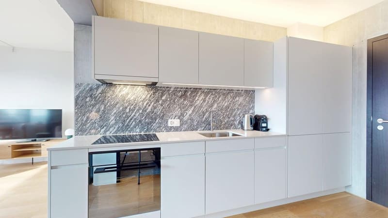 Premium 1-Bedroom Apartment in New Alto Tower – Freihofstrasse 23, Zürich (4)