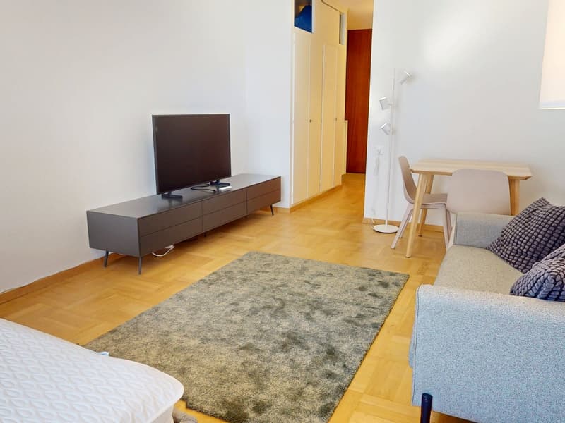 Modern Studio in the Heart of Pâquis – Central Geneva (4)