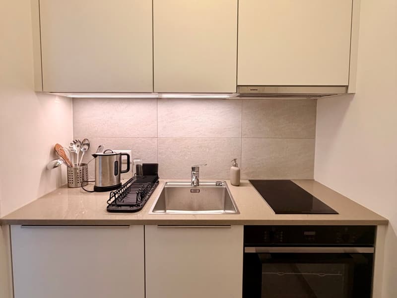 Modern Studio in the Heart of Pâquis – Central Geneva (5)