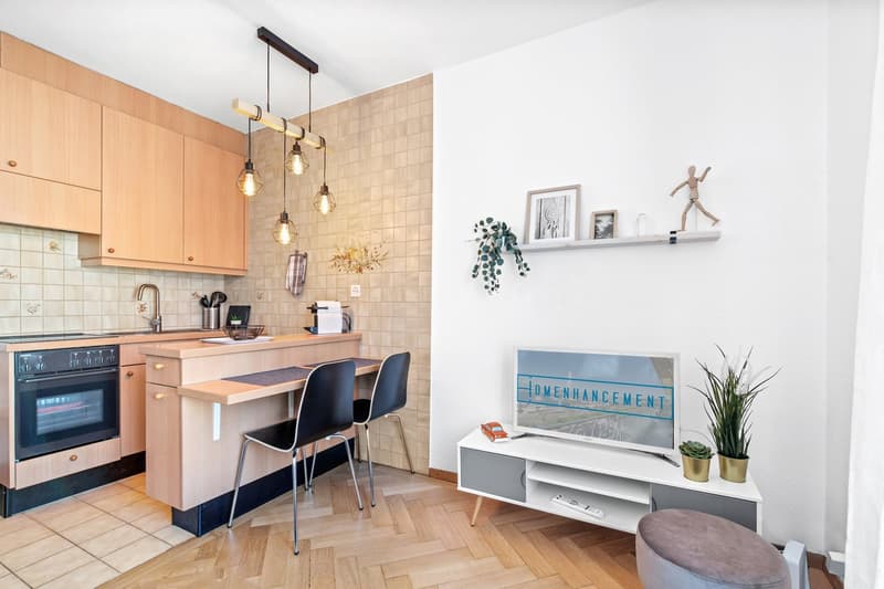 ✨ Appartement 1 Chambre à Louer au Cœur de Genève – Opportunité Unique ! ✨ (2)