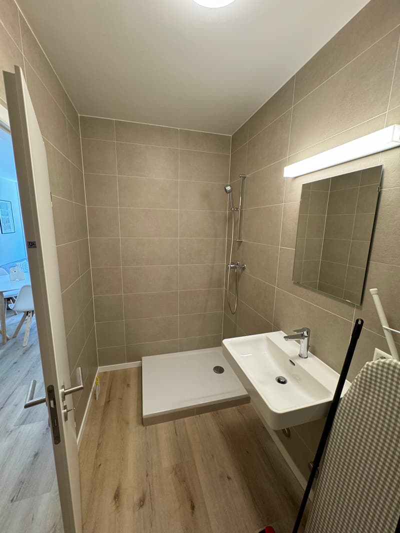 Design One-Bedroom Apartment in the Heart of Geneva Paquis! (8)