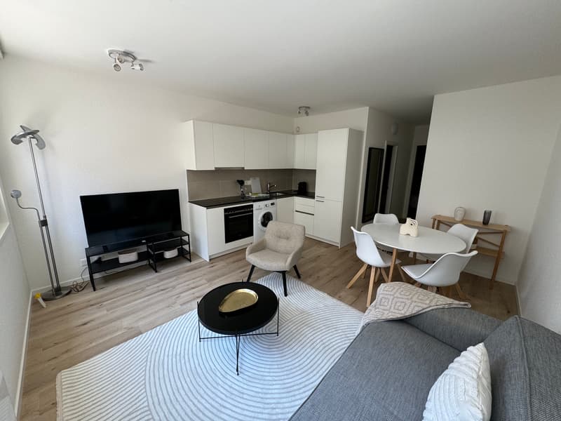 Design One-Bedroom Apartment in the Heart of Geneva Paquis! (1)