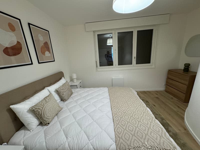 Design One-Bedroom Apartment in the Heart of Geneva Paquis! (5)