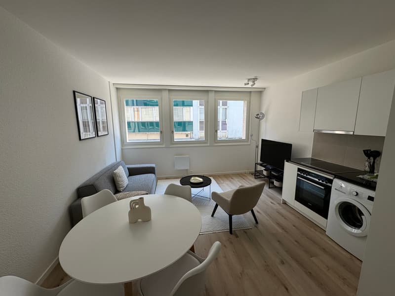 Design One-Bedroom Apartment in the Heart of Geneva Paquis! (2)