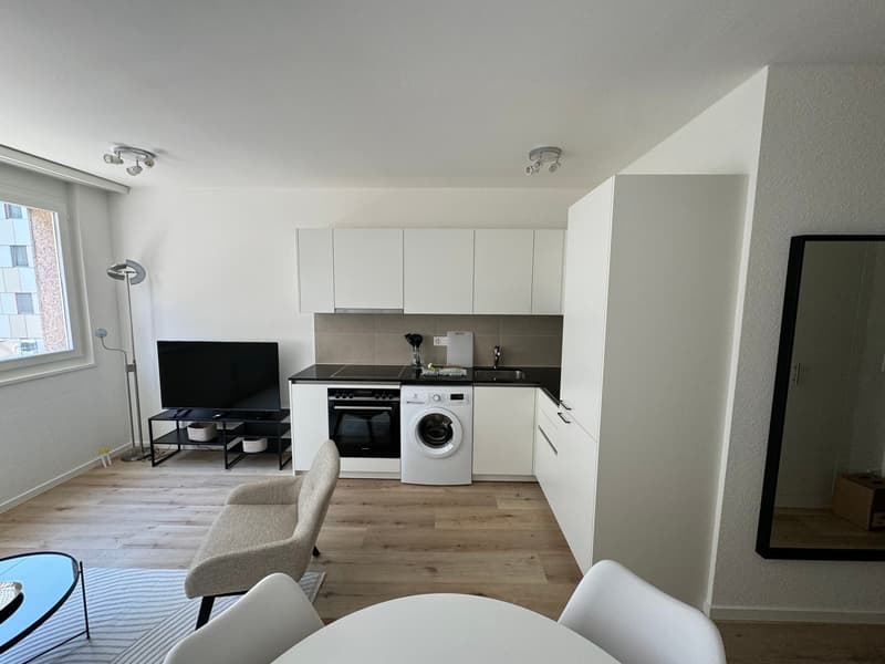 Design One-Bedroom Apartment in the Heart of Geneva Paquis! (3)