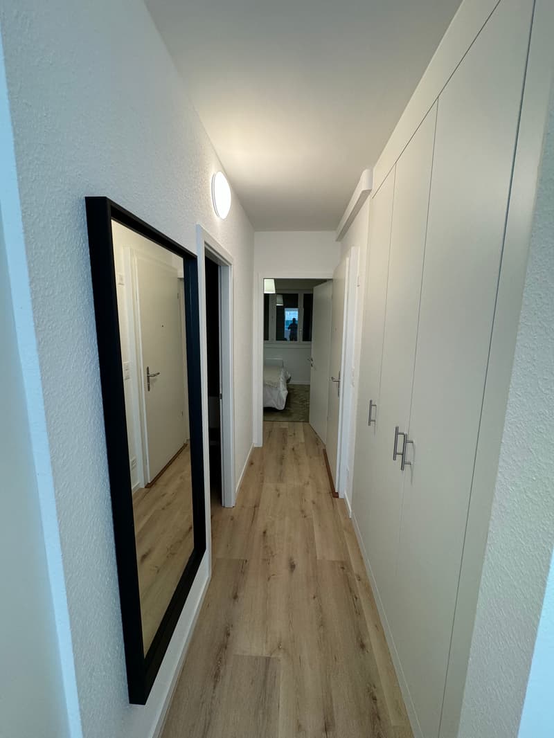 Design One-Bedroom Apartment in the Heart of Geneva Paquis! (4)