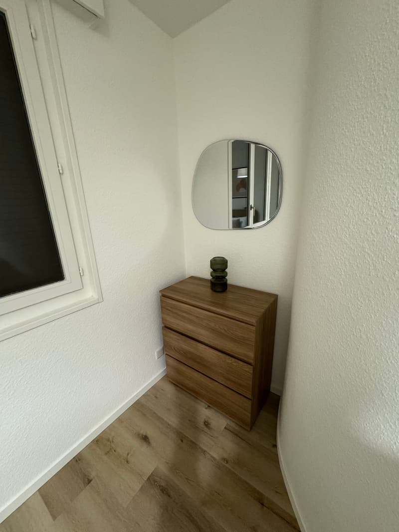 Design One-Bedroom Apartment in the Heart of Geneva Paquis! (7)