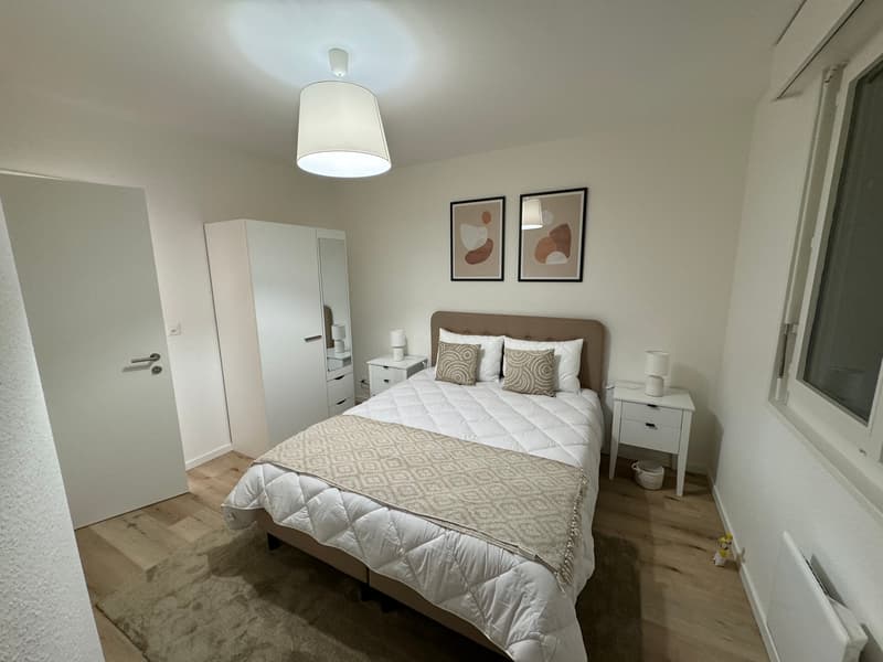 Design One-Bedroom Apartment in the Heart of Geneva Paquis! (6)