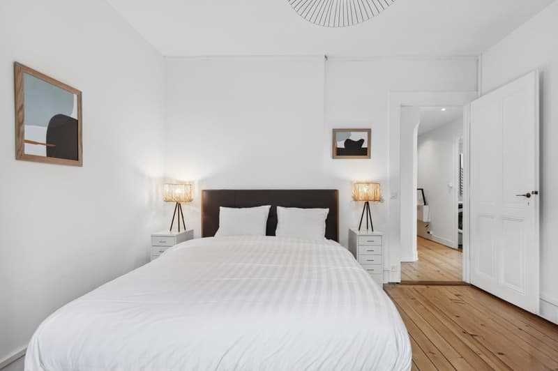 Charming Furnished 1-Bedroom Apartment with High Ceilings near Cornavin Station – Servette, Geneva (8)