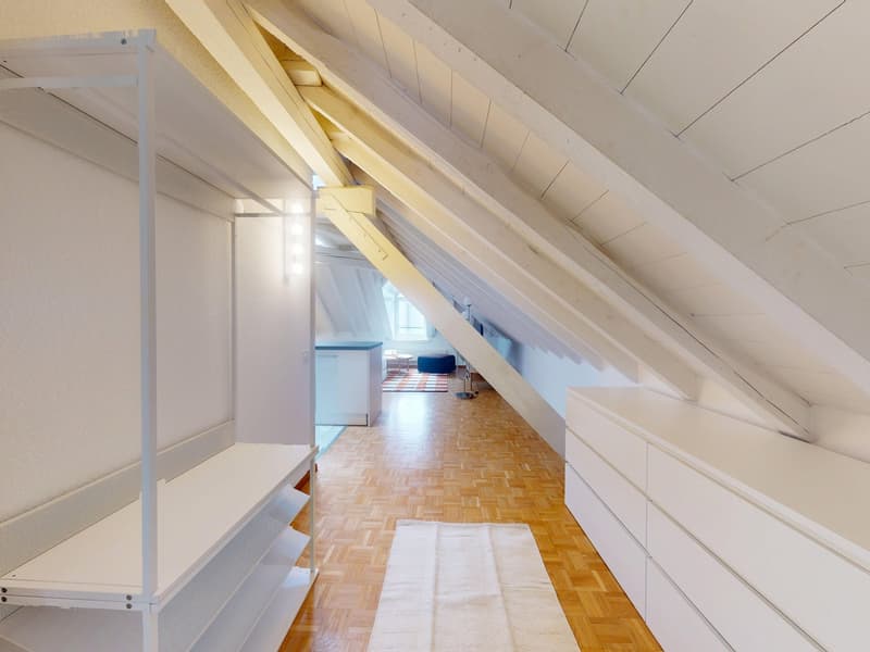 Charmant appartement meublé 1 chambre sous les toits avec poutres apparentes – Servette, Genève (4)