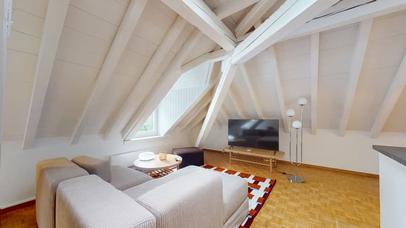 Charmant appartement meublé 1 chambre sous les toits avec poutres apparentes – Servette, Genève (3)