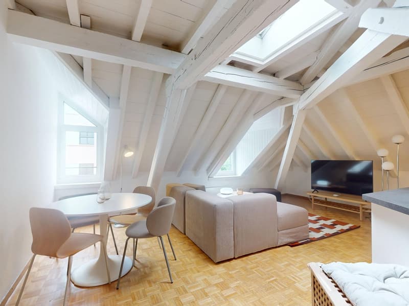 Charmant appartement meublé 1 chambre sous les toits avec poutres apparentes – Servette, Genève (2)