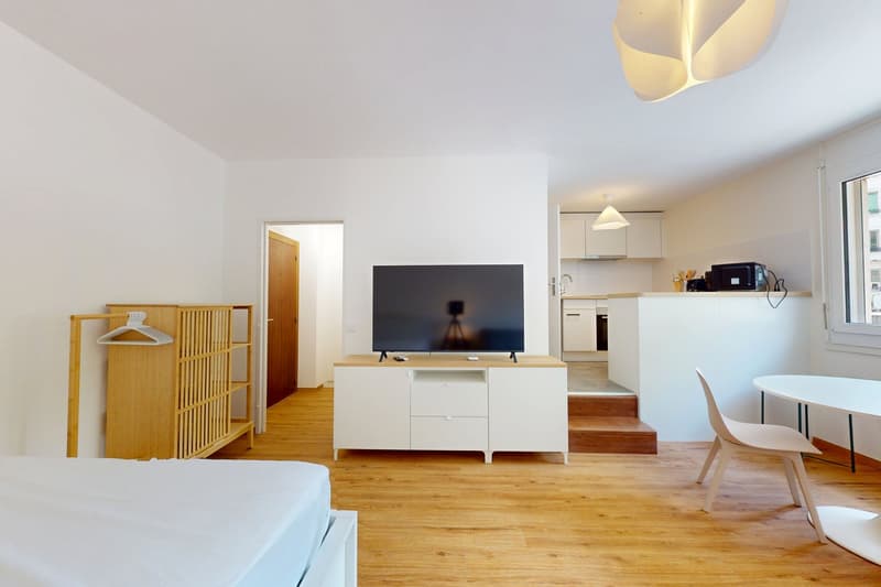 Furnished 30 m² Studio with Separate Kitchen – Plainpalais, Geneva (3)