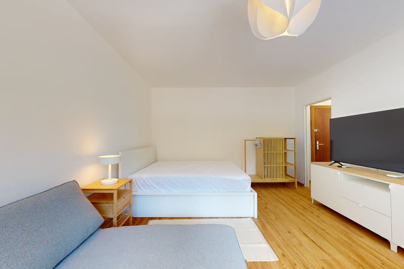 Furnished 30 m² Studio with Separate Kitchen – Plainpalais, Geneva (4)