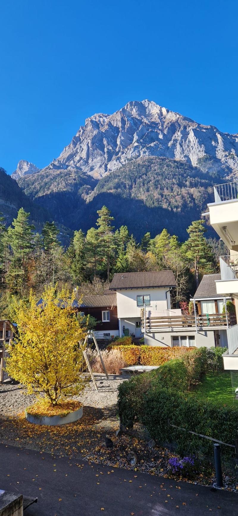 2 story house, brown roof, mountain in the background, balcony, slide