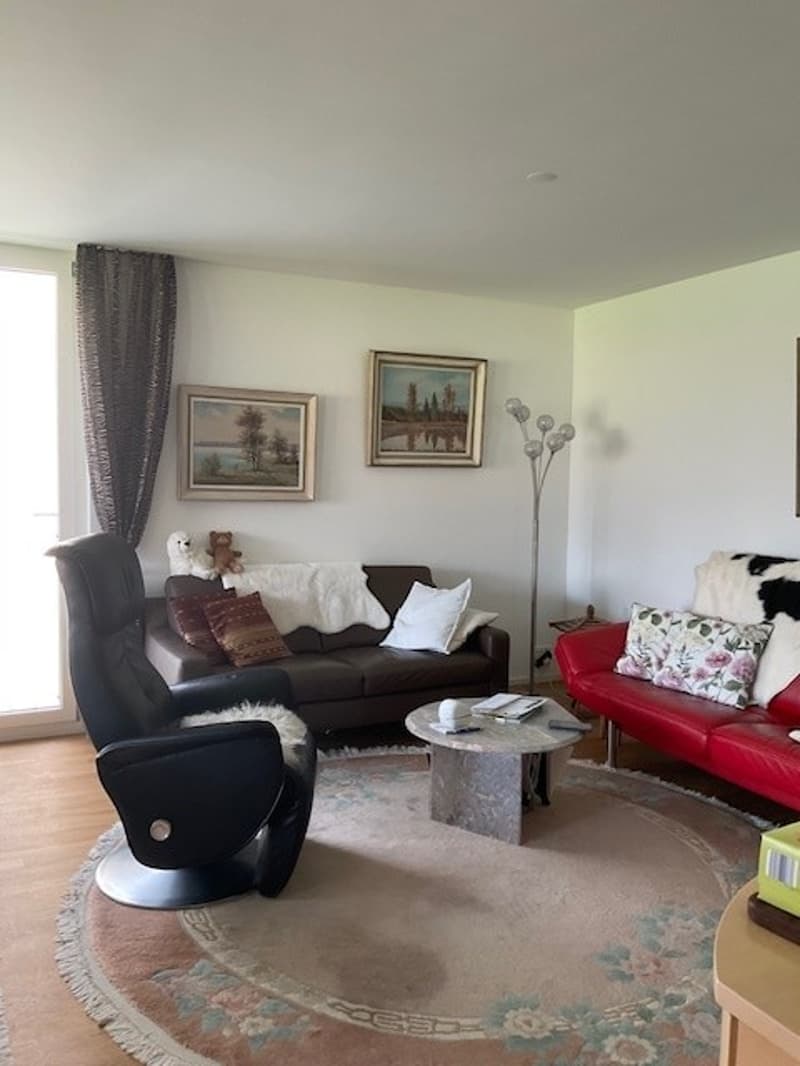 modern living room with carpet, brown couch, red couch, two armchairs, coffee table, floor lamp, decorative items, framed paintings on the wall, a view of outside