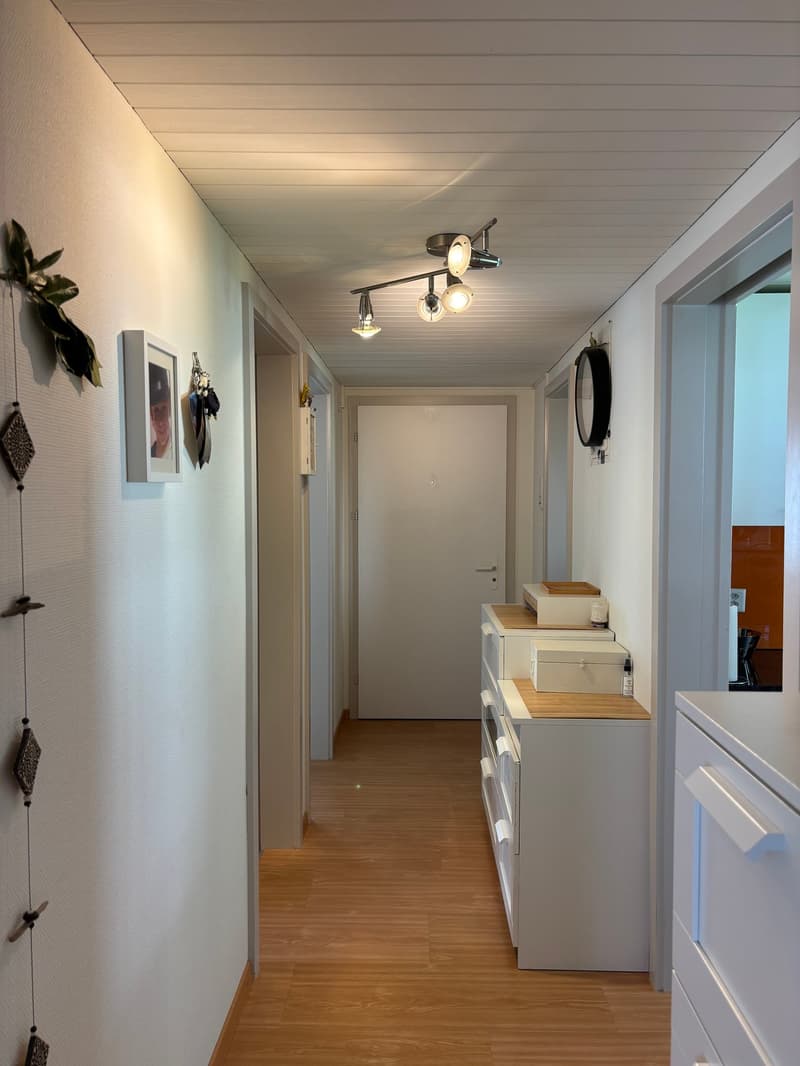 wooden floor, white walls, white door, hallway, picture frame, clock, storage boxes, lights