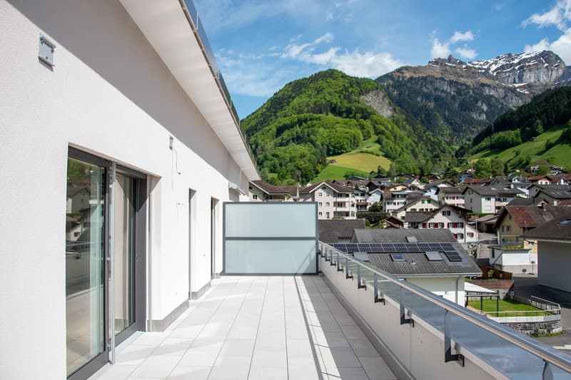 3½-Zimmer-Attika-Wohnung an ruhiger Lage (6)