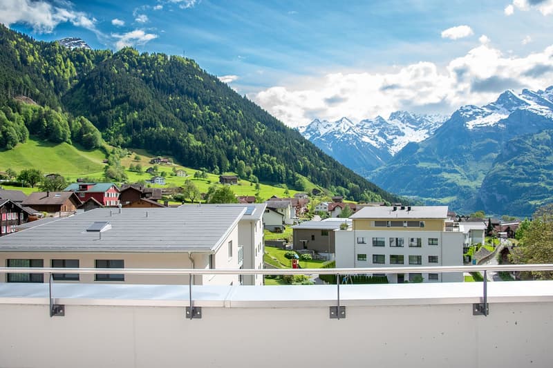 3½-Zimmer-Attika-Wohnung an ruhiger Lage (7)