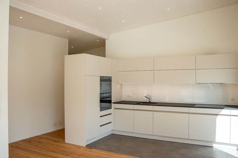 3½-Zimmer-Attika-Wohnung an ruhiger Lage (2)
