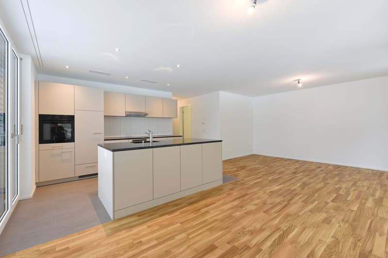 3½-Zimmerwohnung in naturnahem Quartier (3)