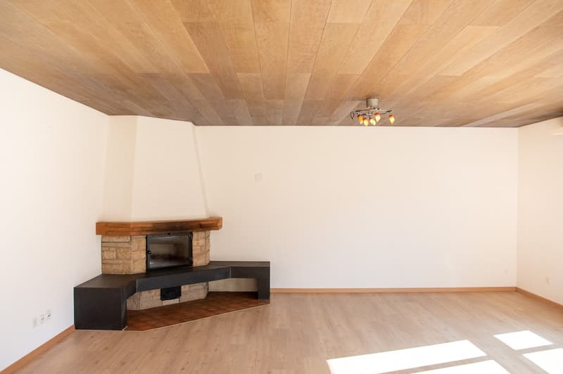 Grosszügige 4.5-Zimmer Wohnung (1)