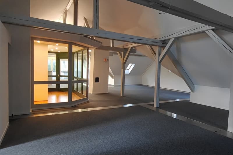 Vielseitig nutzbare Büro- oder Praxisflächen in repräsentativem Gebäude zu vermieten! (7)
