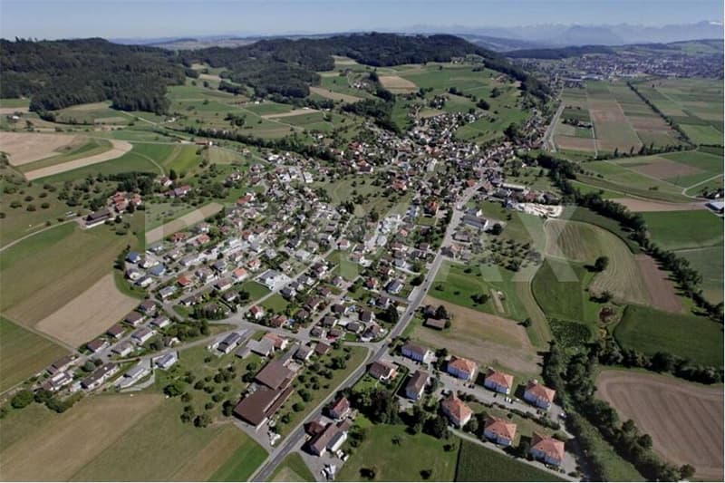 Neubauprojekt: 5.5 Zimmer-EFH am Sonnenhang mit Alpenblick (8)