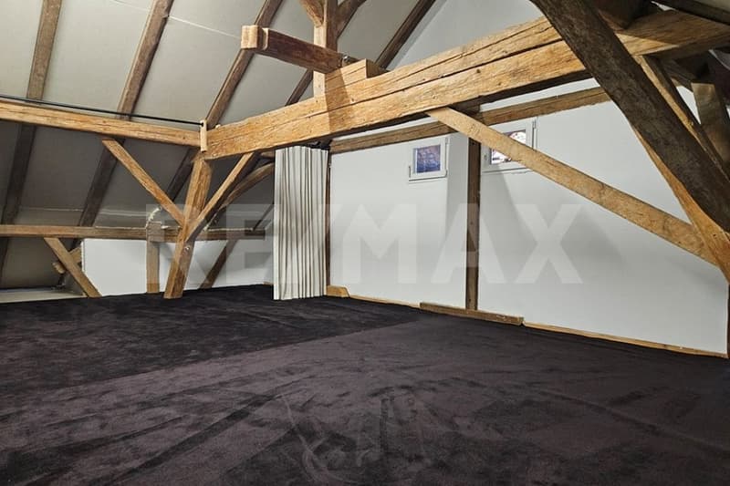 Stilvoll gepflegtes 6 Zimmer-Haus mit Naturpool und grossem Garten (13)