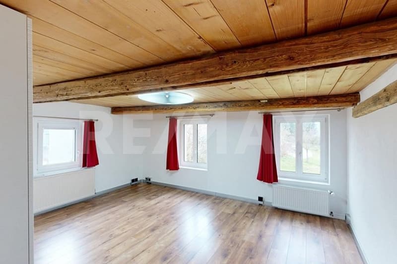 Stilvoll gepflegtes 6 Zimmer-Haus mit Naturpool und grossem Garten (12)
