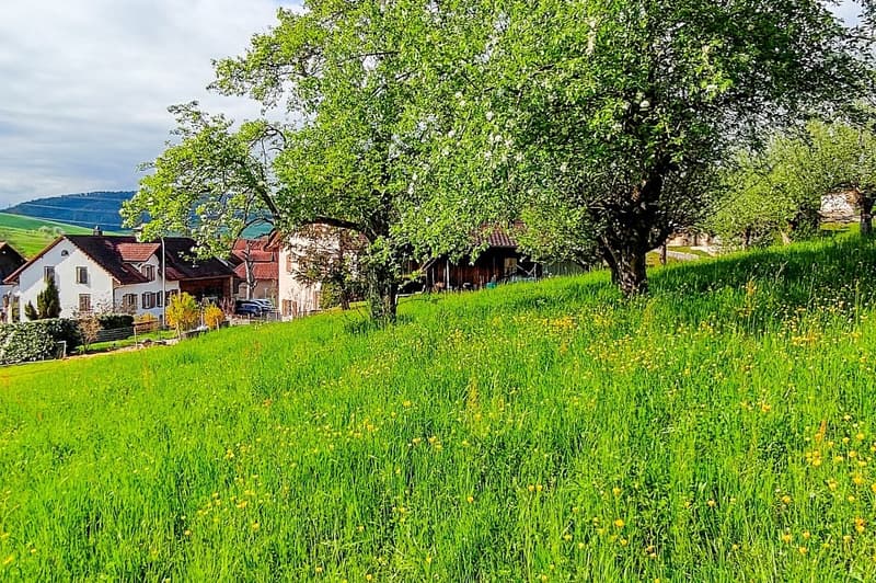 Attraktives Baugrundstück in Hottwil  sonnige Westhanglage mit attraktiver Aussicht (8)