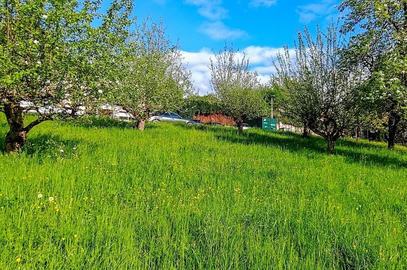 Attraktives Baugrundstück in Hottwil  sonnige Westhanglage mit attraktiver Aussicht (5)