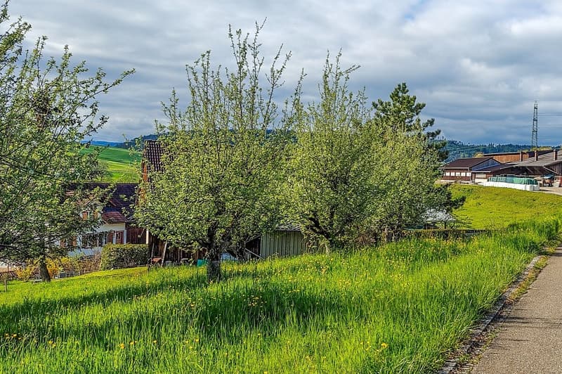 Attraktives Baugrundstück in Hottwil  sonnige Westhanglage mit attraktiver Aussicht (10)