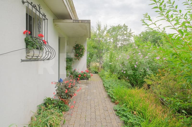 Naturverbunden Wohnen an der Aare: 4.5 Zimmer-Einfamilienhaus mit grosszügigem Garten (3)