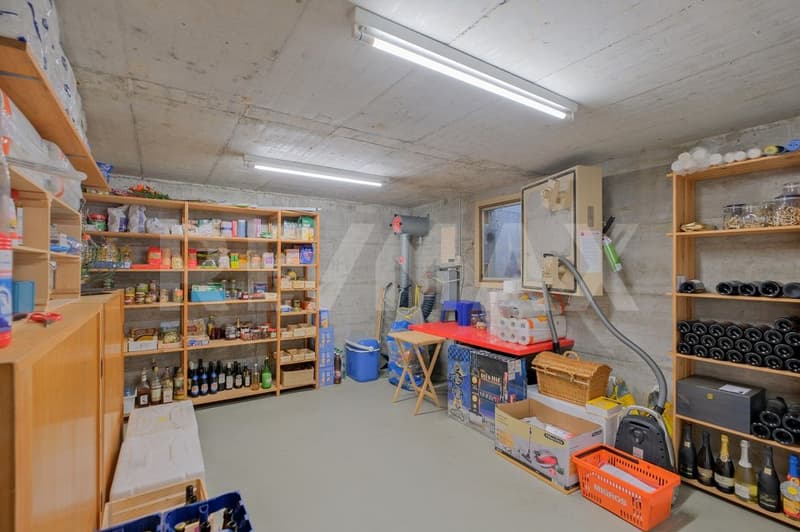 Freistehendes 5.5 Zimmer-Einfamilienhaus mit grossem Garten und Doppelgarage (10)