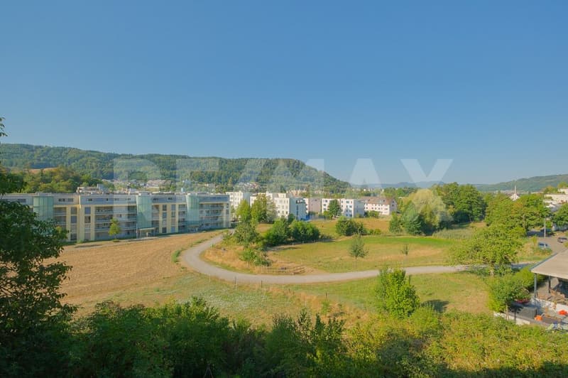 Grundstück 5'515 m² (3'701 m² Bauland) an unverbaubarer Aussichtslage (2)