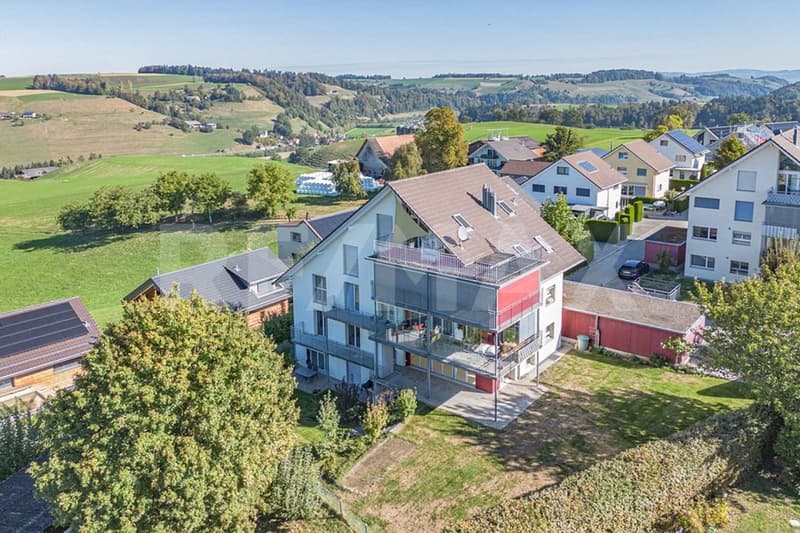 5.5 Zimmer-Gartenwohnung mit traumhafter Aussicht in Ufhusen (1)