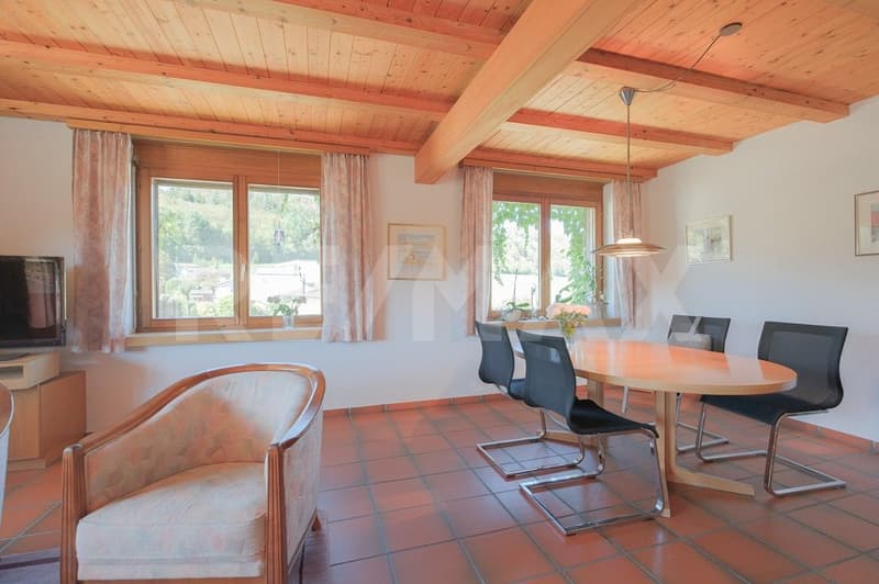 Grosszügige Dachmaisonette-Wohnung am Bauzonenrand (4)