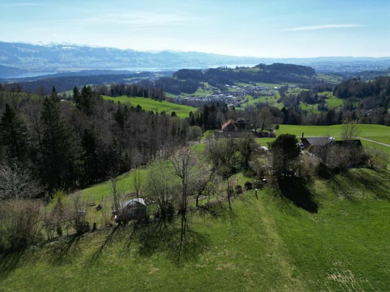 Restaurant mit Wohnungen und Stallungen (4)