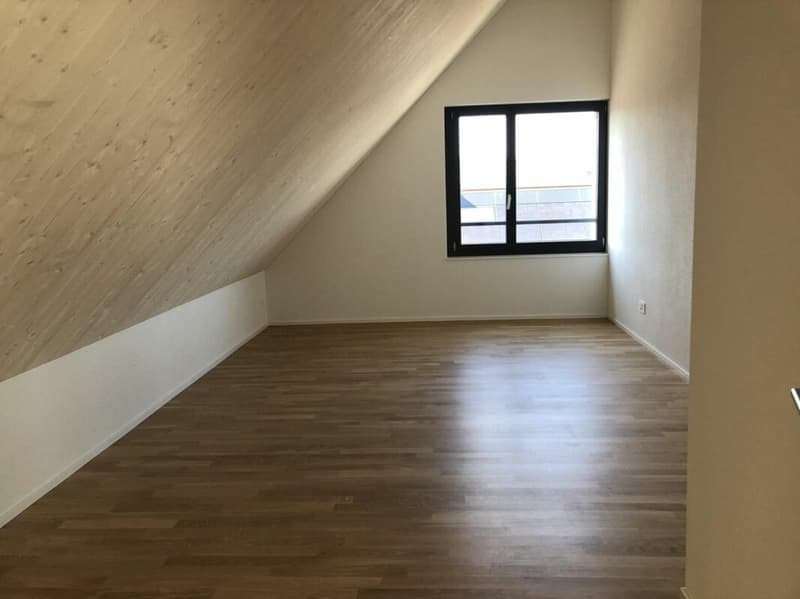 Dachmaisonette - Ihr Wohntraum? (6)