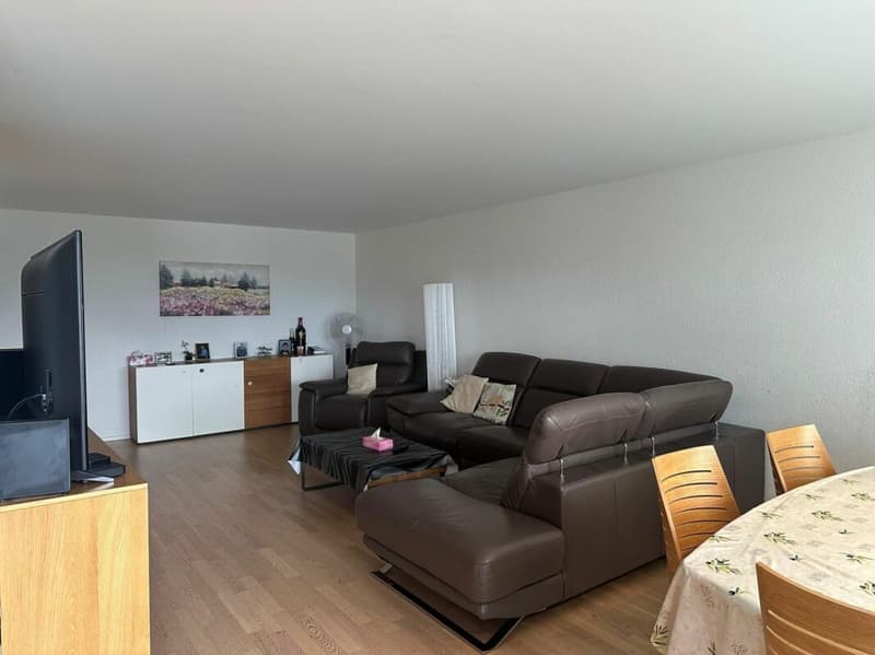 Grosszügige 3.5-Zimmer-Wohnung an ruhiger Lage (3)