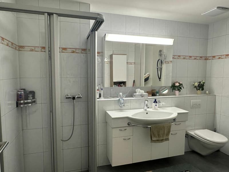 Grosszügige 3.5-Zimmer-Wohnung an ruhiger Lage (9)