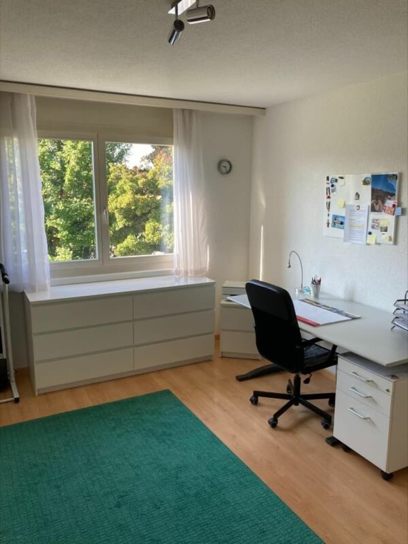 gemütliche Wohnung an zentraler Lage (9)